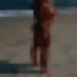 Mariama de Aigues-Vives, 27 ans - plan cul discret