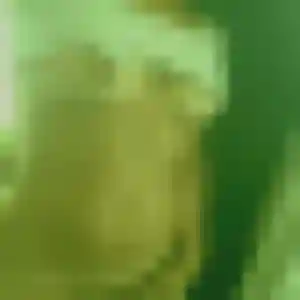 Profil de Jessica à Alairac (36 ans) - plan cul anonyme