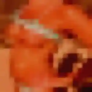 Découvre Diane, 37 ans à Albertville gratuitement