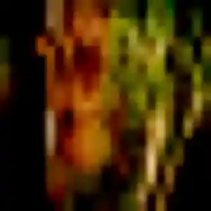 Photo sexy de Penda, 31 ans à Albitreccia - plan discret