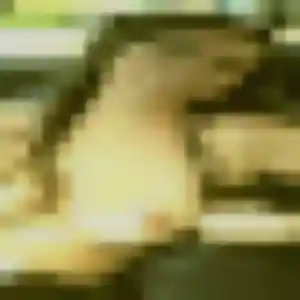 Adama, fille de 22 ans cherche plan cul à Alénya