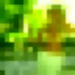 Maéva (35 ans) à Allinges cherche une rencontre maintenant