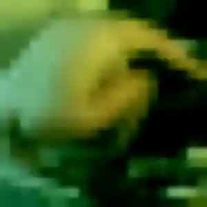 Déborah (34 ans) à Allouagne attend une rencontre rapidement