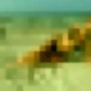 Yetunde (36 ans) à Amblainville cherche une rencontre ce soir