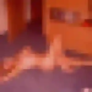 Sexy Gisèle, 31 ans à Ambrault - la contacter