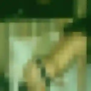 Séraphine, 31 ans, cherche un plan cul à Amillis