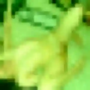 Marguerite (36 ans) à Amilly attend une rencontre maintenant