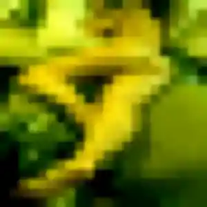 Laura, fille de 33 ans veut plan cul à Ammerschwihr