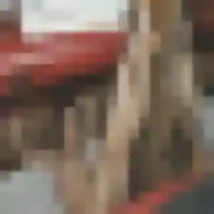 Charline, 33 ans, disponible à Andouillé-Neuville pour une rencontre coquine