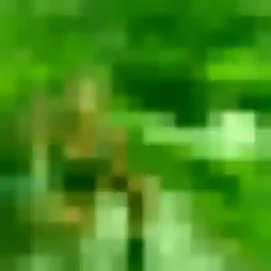 Photo de Malika à Andrézieux-Bouthéon (34 ans) - plan cul discret