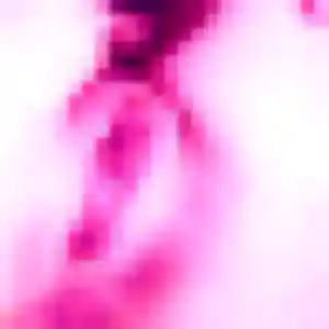Noémie, 24 ans, connectée à Anhiers pour une rencontre coquine