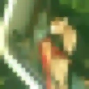 Bukola, fille de 39 ans veut plan cul à Annecy