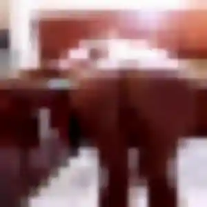 Sandy, 28 ans, connectée à Annet-sur-Marne pour une rencontre coquine