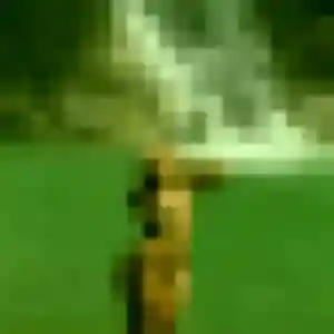 Irène, 24 ans, connectée à Ansac-sur-Vienne pour un plan cul