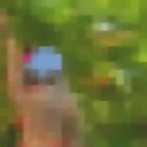 Contacte Neneh, 22 ans à Anse-Bertrand en privé