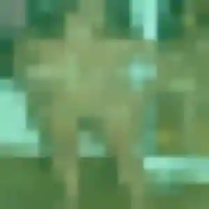 Maéva de Antran, 22 ans - plan cul discret