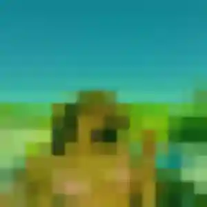 Nassira, 24 ans, en ligne à Anzin pour une rencontre coquine