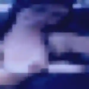 plan cul à Arcambal : photo de Zuri, 34 ans - inscription gratuite