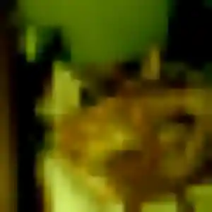 Oluchi de Arette, 26 ans - plan cul sans lendemain