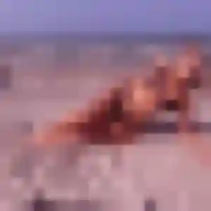 Photo de Yacine à Argelès-Gazost (29 ans) - plan cul anonyme
