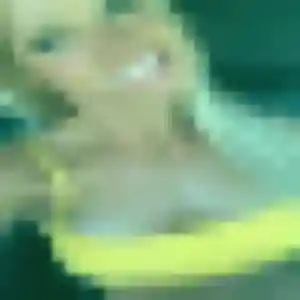 plan cul à Argentré : profil de Kumba, 26 ans - sans engagement