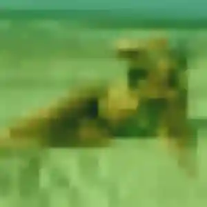 Découvre Jennifer, 45 ans à Armeau en t'inscrivant