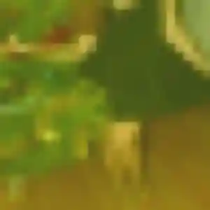 Charmante Aissatou, 34 ans à Armoy - découvrir son profil