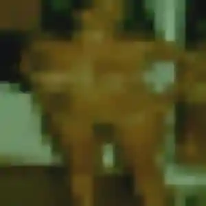 Belle Prisca, 26 ans à Armoy - découvrir son profil