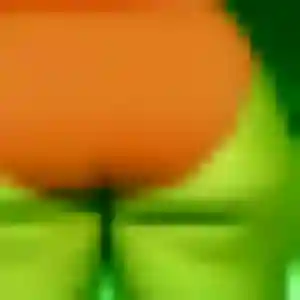 Photo privée de Cindy, 24 ans à Arquenay - plan discret