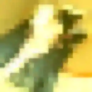 Aissatou, 26 ans, en ligne à Artigues-près-Bordeaux pour une rencontre coquine
