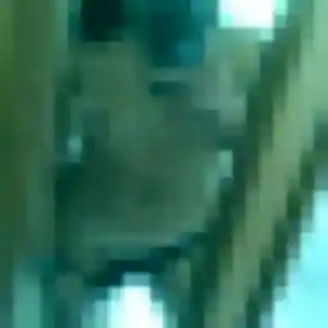 Inès, 35 ans, en ligne à Auffargis pour une rencontre coquine