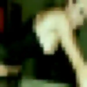 Akissi (25 ans) à Aumale propose un plan cul ce soir