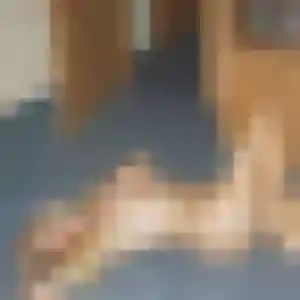 plan cul à Aumale : photo de Viviane, 30 ans - accès libre