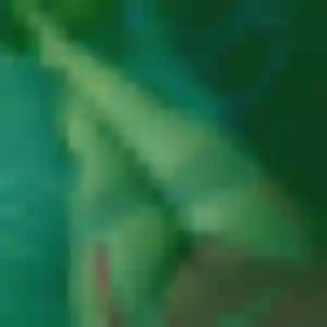 Charmante Solène, 43 ans à Aussevielle - découvrir son profil