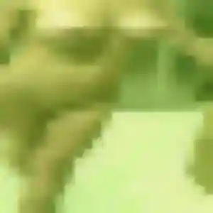 Profil de Ama à Auzielle (41 ans) - plan cul gratuit