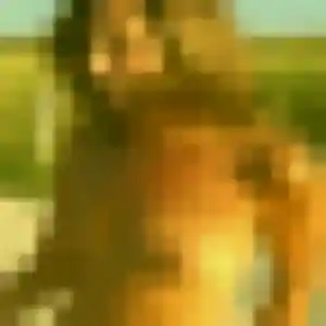 plan cul à Averdon : photo de Abibatou, 42 ans - inscription gratuite