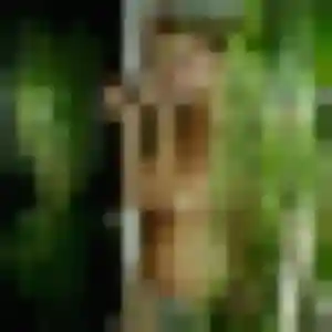 Gladys, 36 ans, disponible à Avermes pour un plan cul