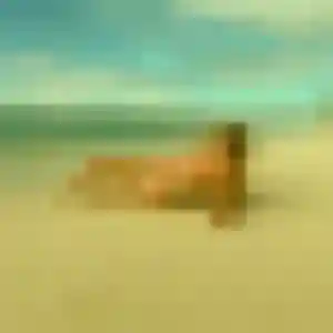 Photo privée de Saly, 41 ans à Avernes - rencontre sans lendemain