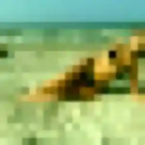 Soline de Avize, 39 ans - plan cul discret