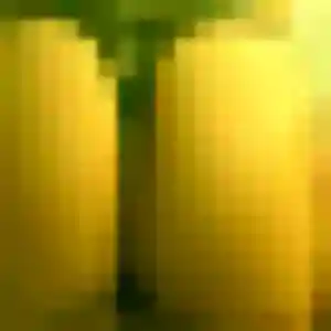 Photo de Zawadi à Avranches (41 ans) - plan cul gratuit