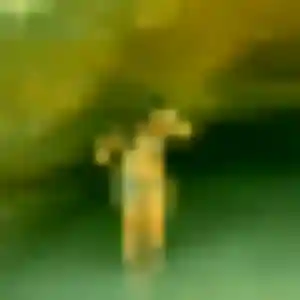 Gaëlle de Aytré, 23 ans - plan cul sans lendemain