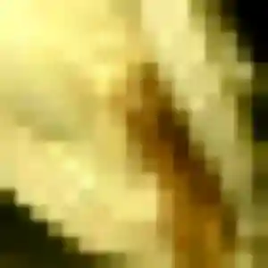 Félicité, 34 ans, en ligne à Azay-sur-Cher pour une rencontre coquine