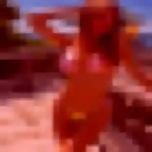 Valentine, femme de 29 ans veut plan cul à Azay-sur-Thouet