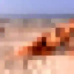 plan cul à Badevel : profil de Coralie, 41 ans - inscription gratuite