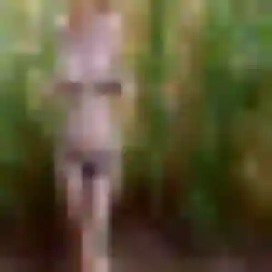 Sexy Djamilatou, 44 ans à Baerenthal - découvrir son profil