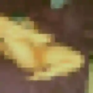 Découvre Ophélie, 25 ans à Bâgé-le-Châtel en t'inscrivant