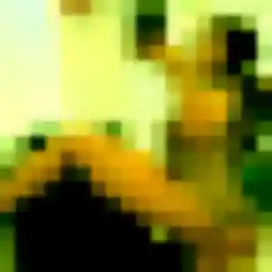 Mariama, femme de 24 ans propose plan cul à Baguer-Morvan