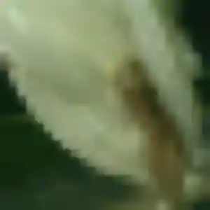 Contacte Cindy, 43 ans à Baignes-Sainte-Radegonde en privé