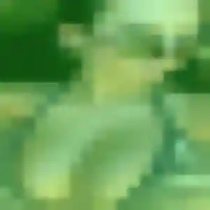 Photo perso de Sanata, 44 ans à Bailleval - rencontre coquine