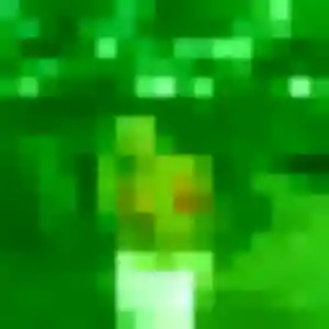 Photo exclusive de Codou, 35 ans à Balgau - rencontre coquine